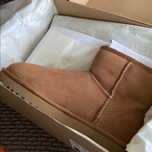 Women’s Classic Mini II UGG Boots- Chestnut Size 8